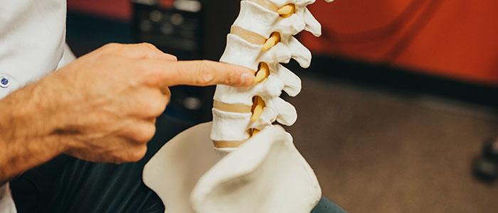 Chiropractic South Austin TX Spine Education